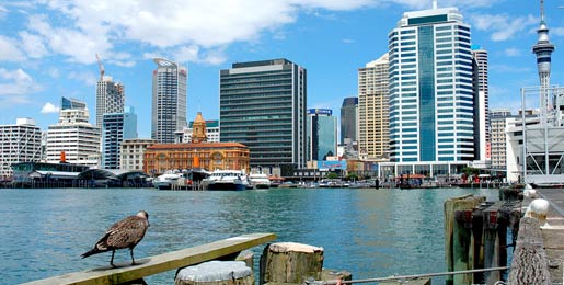 Asuntoauton vuokraus Auckland