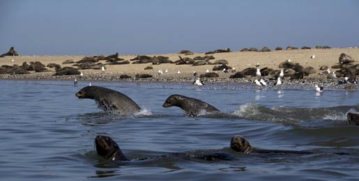 Asuntoauton vuokraus Walvis Bay