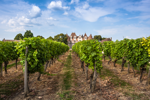 Kiertomatka Bergerac, Ranska