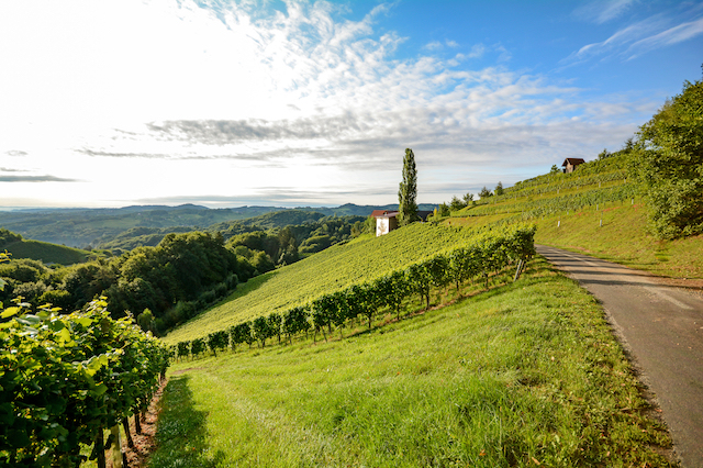 Kiertomatka Bordeaux, Ranska