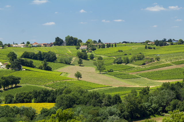 Kiertomatka Bordeaux, Ranska