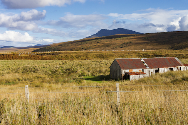 Kiertomatka West Knockbain & Muckernich Wood  